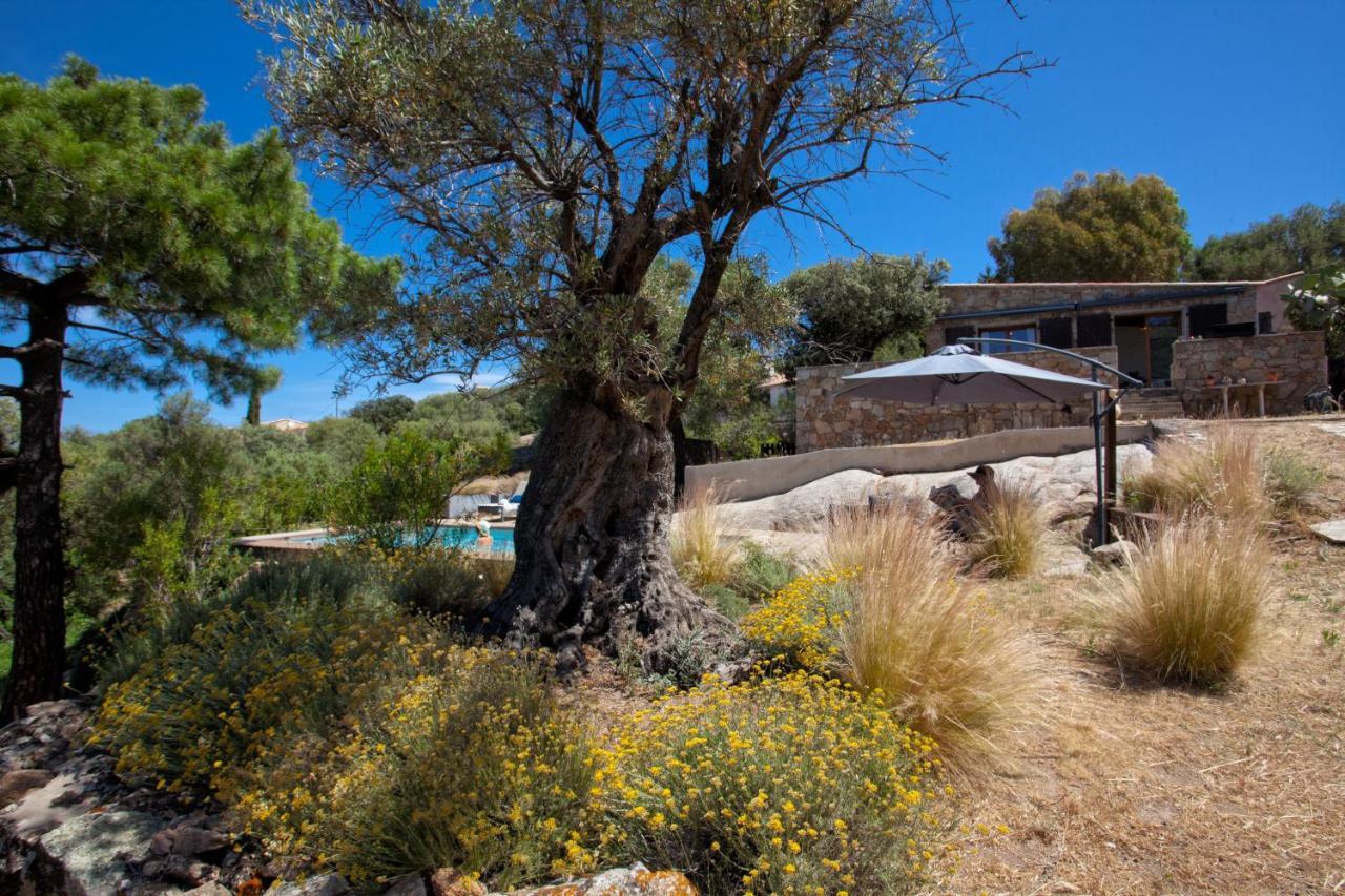 Villa Bodri, Maison En Pierre Avec Vue Mer Et Piscine Chauffee Л'Іль-Русс Екстер'єр фото